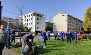 U Banjaluci nastavljena jesenja sadnja: Bulevar Stepe Stepanovića bogatiji za nove sadnice