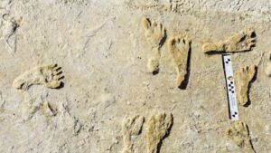 Otisci stopala pokazuju da su ljudi došli ranije na američki kontinent