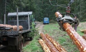 Ukupna prodaja veća za 6,2 odsto: Prošle godine povećana proizvodnja šumskih sortimenata u FBiH