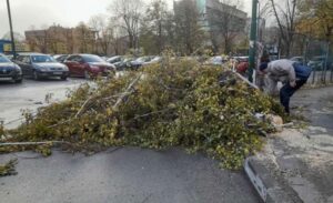 Nevrijeme “protutnjalo” kroz ovaj dio BiH: Snažan vjetar rušio stabla, oborio i spomenik VIDEO