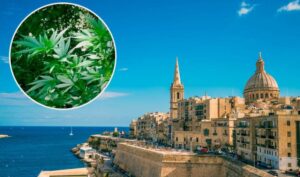 Prate trend Luksemburga: Malta legalizovala kanabis za ličnu upotrebu
