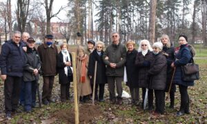 Sjećanje na logoraše Drugog svjetskog rata: U Parku “Mladen Stojanović” simbolično zasađena topola