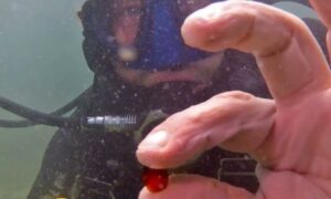 Vrijedno otkriće u moru: Arheolozi pronašli artefakte kod olupina VIDEO