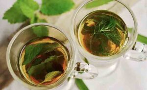 Pažnja… Čaj od žalfije je jako zdrav, ali ipak pripazite u kolikim količinama ga pijete