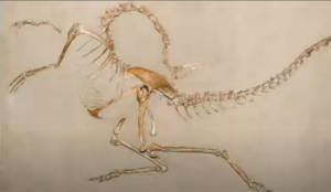 Očuvani toliko dobro da se vide detalji kože: Pronađene stotine tragova dinosaurusa