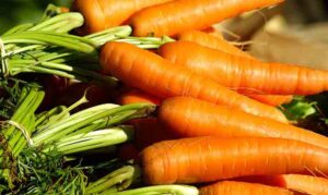 Brojne pogodnosti za zdravlje: Evo zašto treba jesti mrkvu