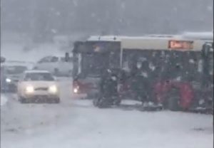 Udruženim snagama: Zbog neočišćenog puta Beograđani guraju autobus kroz mećavu VIDEO