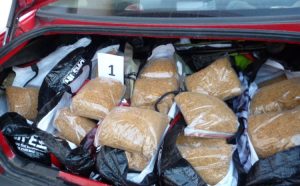 Kontrola urodila plodom: Policija zaplijenila 450 kilograma duvana