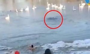 Ništa ga nije zaustavilo: Momak skočio u ledenu rijeku da spasi svog ljubimca VIDEO