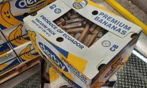 Sumnjivi paketi sa bananama: Otkriveno oko 400 kilograma kokaina