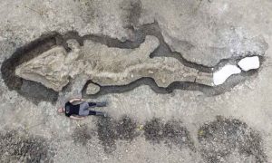 U rezervatu prirode u Velikoj Britaniji: Otkriven fosil “morskog zmaja” dug 10 metara