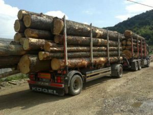 Policija zaustavila kamion neoznačenih trupaca: Teslićaninu oduzeti drvni sortimenti