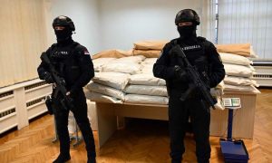 Velika akcije srpske policije: Zaplijenjeno 300 kilograma marihuane, uhapšeno pet osoba