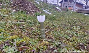 Okončana drama u Banjaluci: Uklonjen tromblon koji je jutros nađen u dvorištu kuće