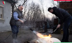 Do sad neviđenje vještine premijera Mađarske: Viktor Orban u svinjokolju FOTO/VIDEO
