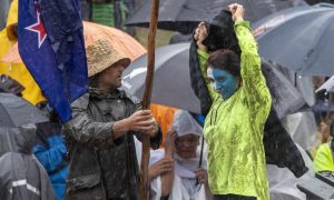 Neobična taktika: Pjesmama “Macarena” i “Let it go” rastjerivali demonstrante