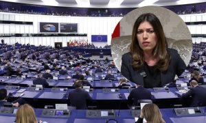 Vulićeva oplela po Evropskom parlamentu: Bildaju mišiće na svima, a nesposobni su za sebe