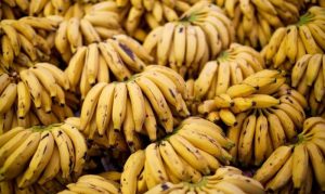 Sve skuplje: Cijena banana će rasti sa klimatskim promjenama