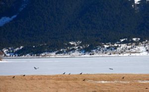 Zimska idila iz BiH ostavlja bez daha: Blidinjsko jezero prekriveno snijegom i ledom FOTO