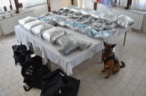 Policija zatekla osumnjičene kako prebacuju drogu: Zaplijenjeno 63 kilograma marihuane