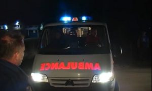 Drama usred noći: Vozilom hitne pomoći naletio na divlje svinje – pacijentkinja preminula