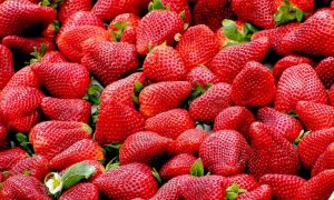 Stešite se bez muke: Nutricionista tvrdi da ovo voće topi salo sa stomaka