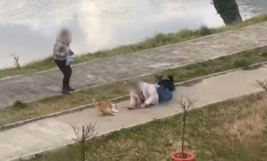 Hit video iz Trebinja: Pas napao mačku na povocu – vlasnica sve učinila da je spasi VIDEO
