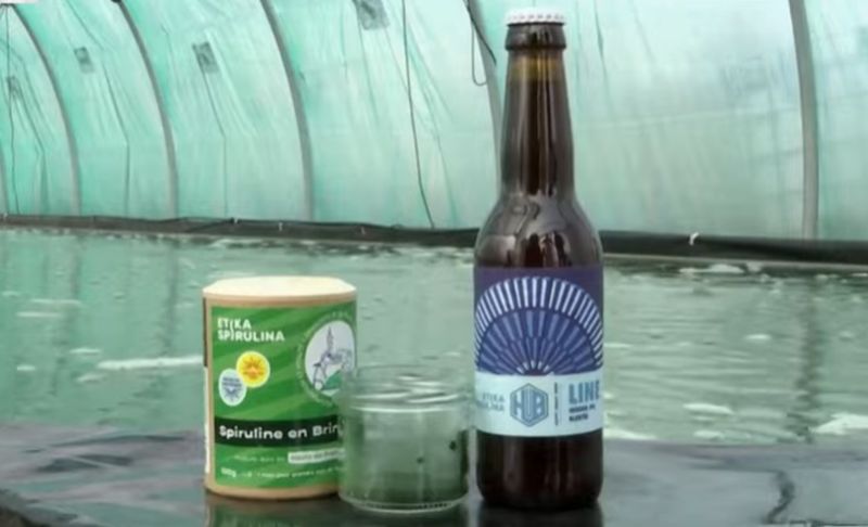 Francuska pivara pravi plavo pivo od algi!