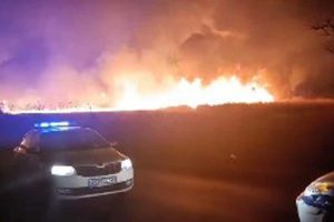 Veliki požar zahvatio stari ribnjak: Vatra se brzo širi zbog vjetra VIDEO