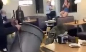 Svratio na obrok: Rakun propao kroz plafon u studentskoj menzi VIDEO