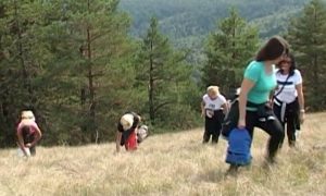 Još jedan “biser Srpske” na UNESKO listi: I stanište trave ive pod zaštitom VIDEO