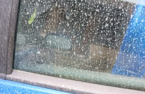 Spremite se za pranje auta: Prljava kiša nosi pijesak iz Sahare