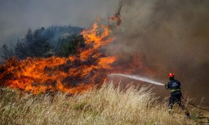 Vatrogasci neumorni: Požar na području Hrvatske prijeti kućama