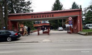 Sjećanje na heroinu: Banjalučki gimnazijalci podnijeli zahtjev za postavljanje biste Diane Budisavljević