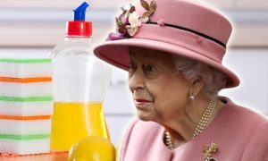 Koristeći najfinije botaničke sastojke: Britanska kraljica lansirala tečnost za pranje sudova i parfem za pse