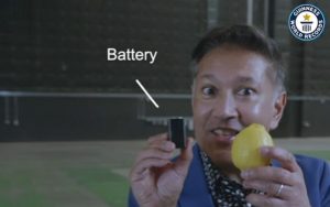 Napravljena najveća voćna (limun) baterija na svijetu! VIDEO