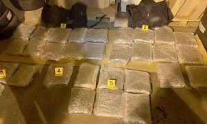 Policija uhapsila dilera: Zaplijenjeno 31 kilograma marihuane