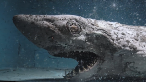 Sablasni snimci mrtvih životinja napuštenog akvarijuma u Španiji VIDEO