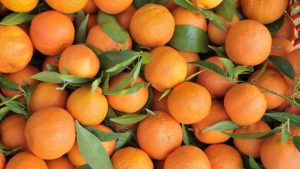 Zbog povećanog sadržaja pesticida: U Srpsku zabranjen uvoz 20.756 kilograma narandži iz Grčke