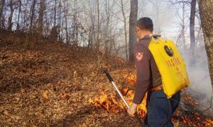 Vatrom bila obuhvaćena velika i nepristupačna površina: Ugašen požar u Podgori FOTO