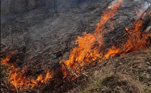 Gori drveće i nisko rastinje: Požar u banjalučkom naselju Potkozarje VIDEO