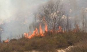Vatrogasci se bore sa vatrom: Požar aktivan u gatačkom selu Dramešina