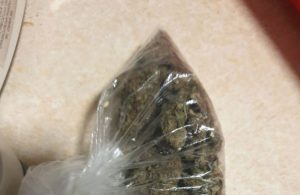 Pronađena droga kod 36 osoba na Egzitu: Marihuana, amfetamin, kokain, ekstazi