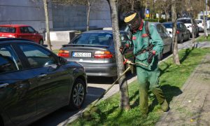 Minimalna sredstva: Amandmani ošišali budžet za zelene površine