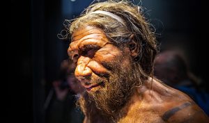 Otkriće kod Niša: Pronađeni najstariji fosili neandertalaca u Srbiji
