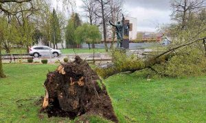 Jako nevrijeme pogodilo Prijedor: Vjetar čupao stabla, oštećena Tržnica FOTO
