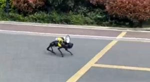 Neobični prizori u Šangaju: Psi roboti patroliraju ulicama VIDEO