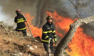 Vatrena stihija zahvatila borovu šumu: Bukti požar u Makarskoj