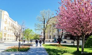 Uživanje na suncu: Proljećno vrijeme izmamilo Banjalučane na ulice, u bašte kafića i u parkove
