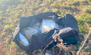 Nedaleko od trake za teretni saobraćaj: Carinici u travnjaku našli torbu sa 12 velikih paketa droge